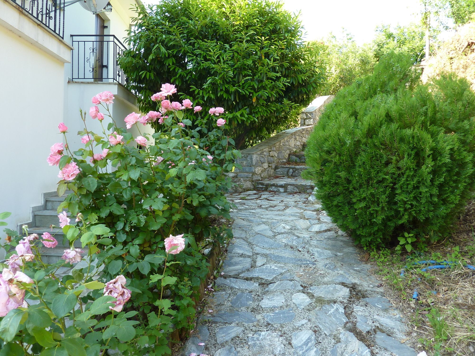 Villa Thea Makrirrákhi 外观 照片